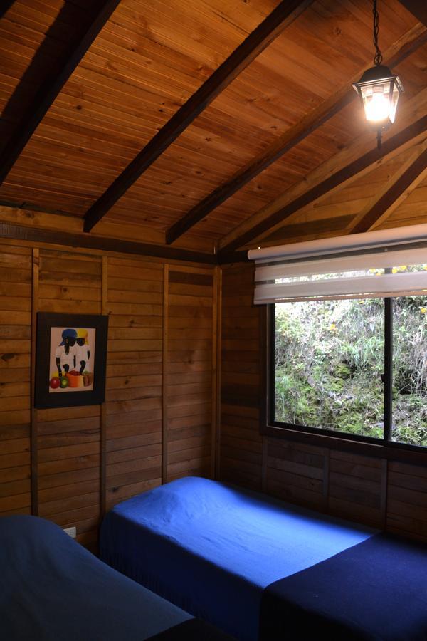 Cabanas Valle Del Cocora La Truchera Salento Exterior foto